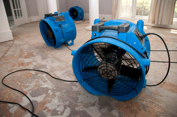 Best 24/7 water damage repair  in Morgantown, PA