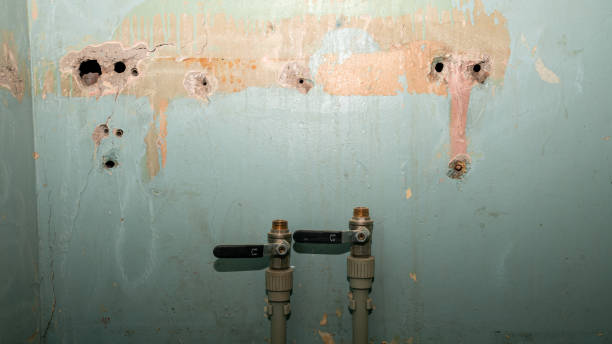 Best Water damage repair service  in Morgantown, PA