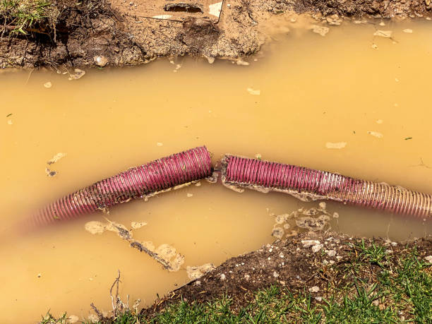 Best Basement water damage restoration  in Morgantown, PA
